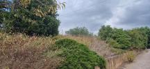 Acheter Terrain 606 m2 Peret