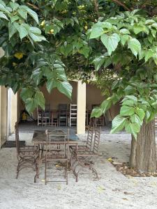 Vente Maison VILLEVEYRAC SUR LES HAUTEURS