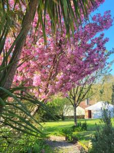 photo For sale House BAZOGES-EN-PAREDS 85