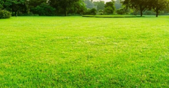 photo For sale Land SAINT-QUENTIN-DE-BARON 33