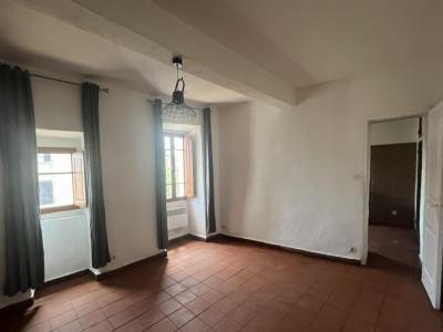 Location Maison OLMETO 