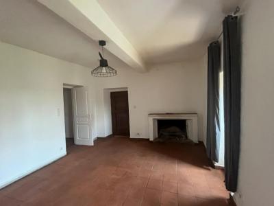 Location Maison OLMETO 