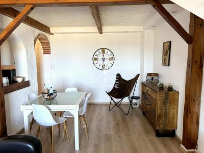 Vente Appartement SARI-SOLENZARA 
