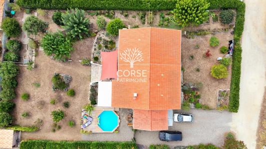 Vente Maison 5 pièces PRUNELLI-DI-FIUMORBO 20243