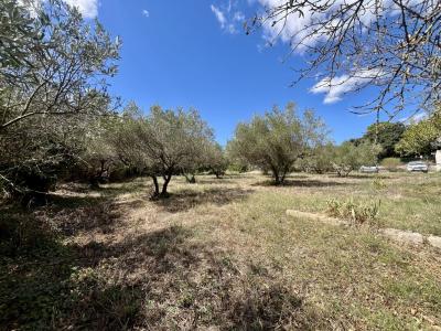 photo For sale Land AUBAIS 30