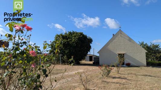 Viager Maison 4 pièces SAINT-NICOLAS-DE-BOURGUEIL 37140