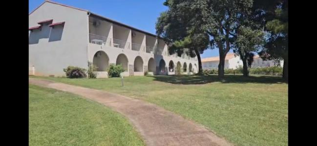 Vente Appartement CANALE-DI-VERDE BRAVONE