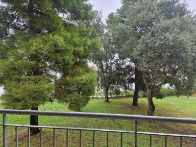 Vente Appartement CANALE-DI-VERDE BRAVONE