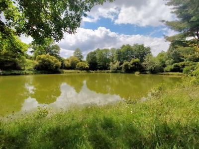 Vente Terrain SAINT-MARTIN-DE-CONNEE 53160