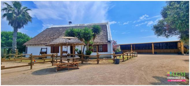 photo For sale Commerce GRAU-DU-ROI 30