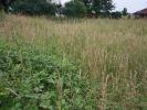Annonce Vente Terrain Ardiege
