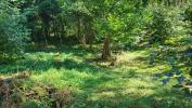 Annonce Vente Terrain Queige