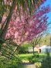 House BAZOGES-EN-PAREDS 