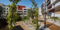 Apartment SAINT-JEAN-DE-VEDAS 