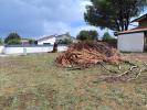 House BISCARROSSE 