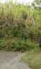 Annonce Vente Terrain Sainte-marie