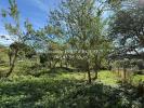 Acheter Maison Chapelle-en-lafaye 139000 euros