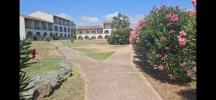 Vente Appartement Canale-di-verde 20