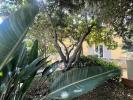 Apartment ARGELES-SUR-MER 
