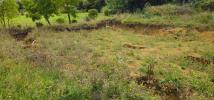 Acheter Terrain 544 m2 Saint-papoul
