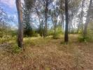 Annonce Vente Terrain Montpellier