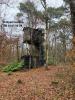 Vente Domaine forestier Moustier 47