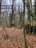 Annonce Vente Domaine forestier Moustier