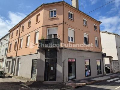 Vente Immeuble FEURS 42110