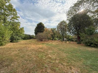 Vente Terrain TOUR-DE-SALVAGNY 69890