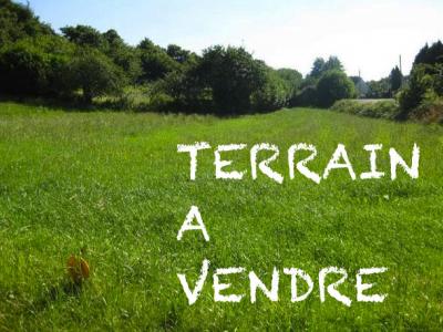 photo For sale Land PONT-SUR-YONNE 89