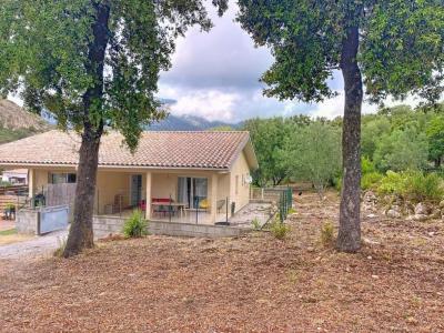 photo For rent House PERI 20