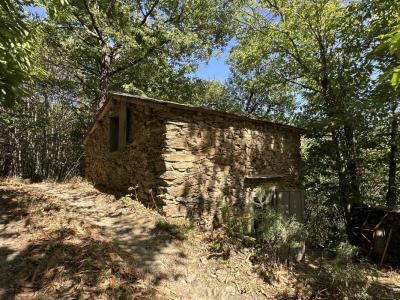 For sale Land LESPINASSIERE  11