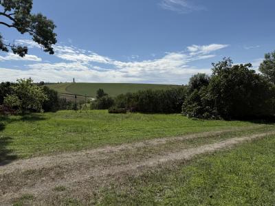 Vente Terrain NAILLOUX  31