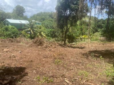 Vente Terrain MARIN 97290