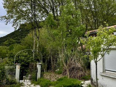 Vente Maison SAINT-BAUZILLE-DE-PUTOIS  34