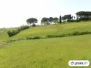 Annonce Vente Terrain Castelnau-sur-gupie