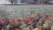 Acheter Terrain 32767 m2 Noiretable
