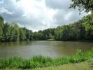 Annonce Vente Terrain Juillac