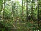 Acheter Terrain Juillac Correze