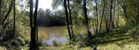Acheter Terrain Juillac 79000 euros