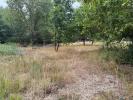 Annonce Vente Terrain Saint-martin-de-laye