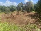 Annonce Vente Terrain Marin