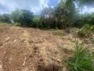 Acheter Terrain Marin Martinique