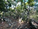 Land ON-SAINT-LEU 
