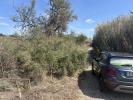 Annonce Vente Terrain Lespignan
