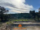 Annonce Vente Terrain Saint-restitut