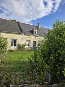 photo For sale House VARENNES-SUR-LOIRE 49
