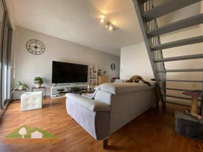Location Appartement SAINT-GAUDENS 
