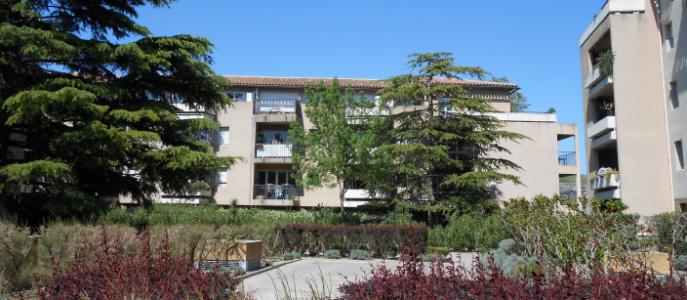 For rent Apartment AVIGNON 