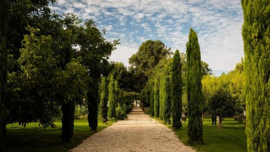 photo For sale Prestigious house SAINT-EMILION 33